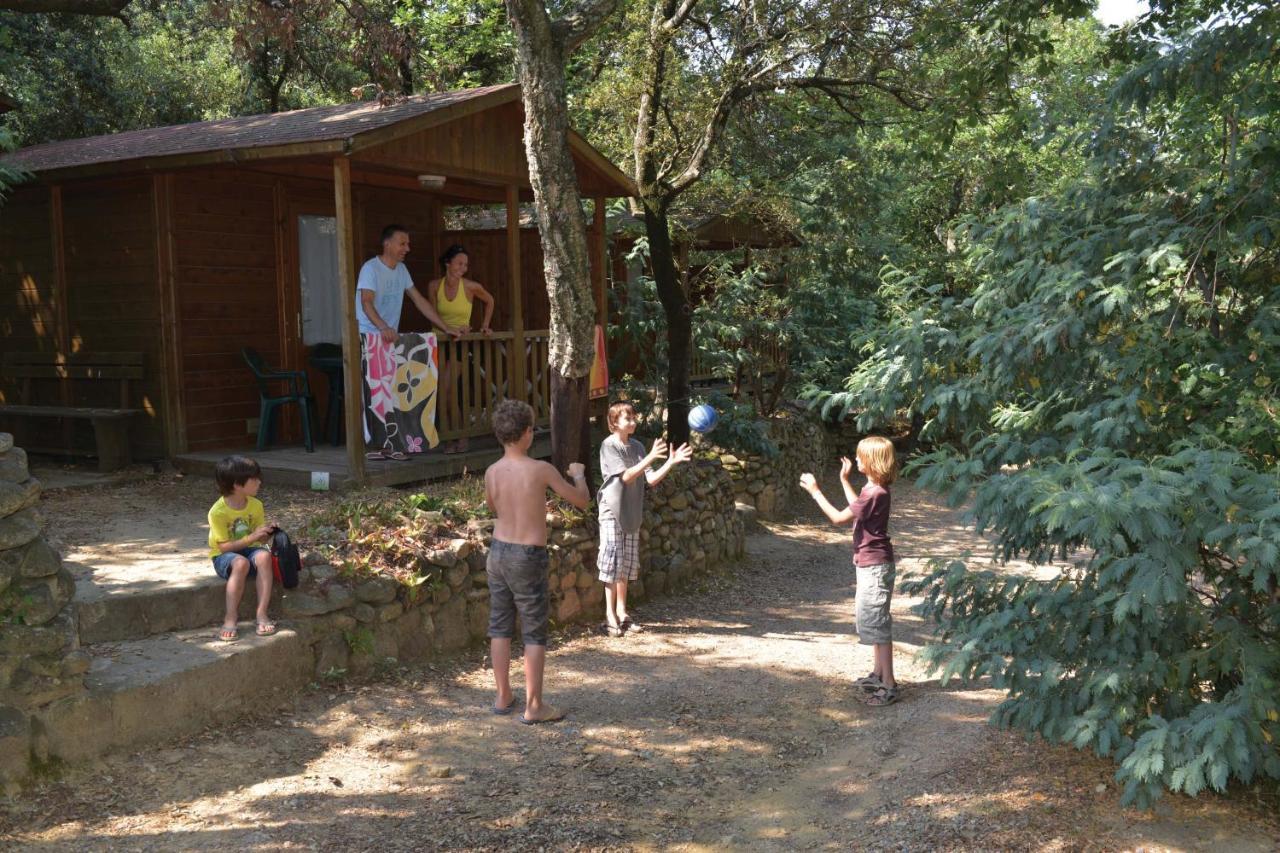 Camping Des Alberes Laroque-des-Albères エクステリア 写真