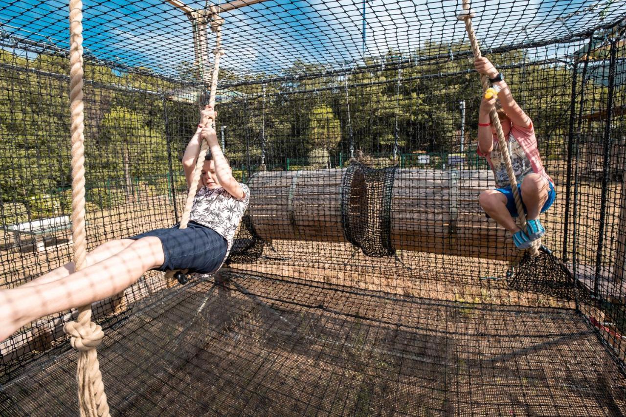 Camping Des Alberes Laroque-des-Albères エクステリア 写真