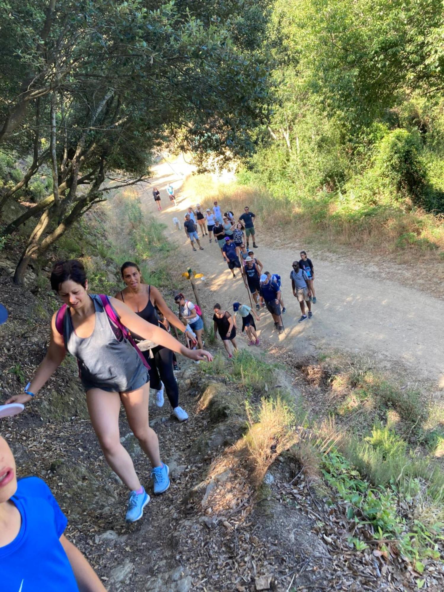 Camping Des Alberes Laroque-des-Albères エクステリア 写真