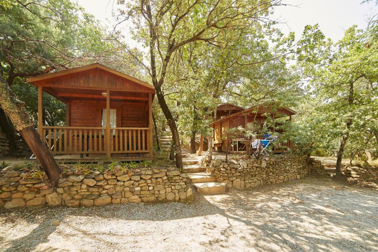 Camping Des Alberes Laroque-des-Albères エクステリア 写真
